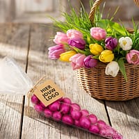 Product afbeelding