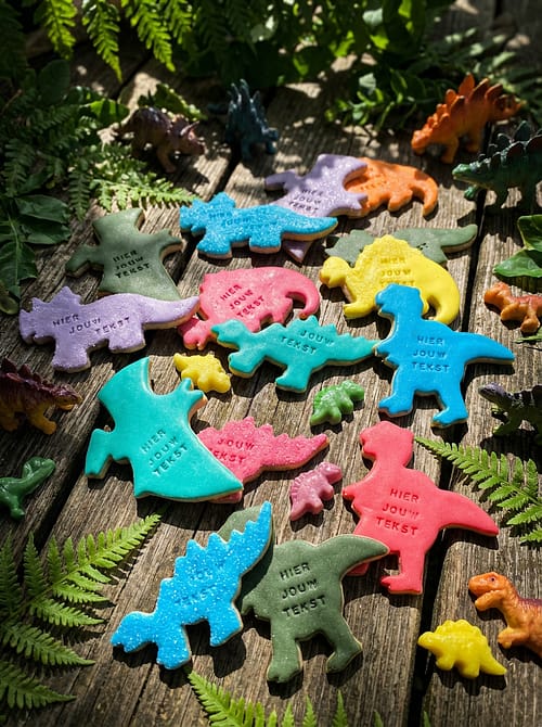 Dino koekjes verjaardag pakket