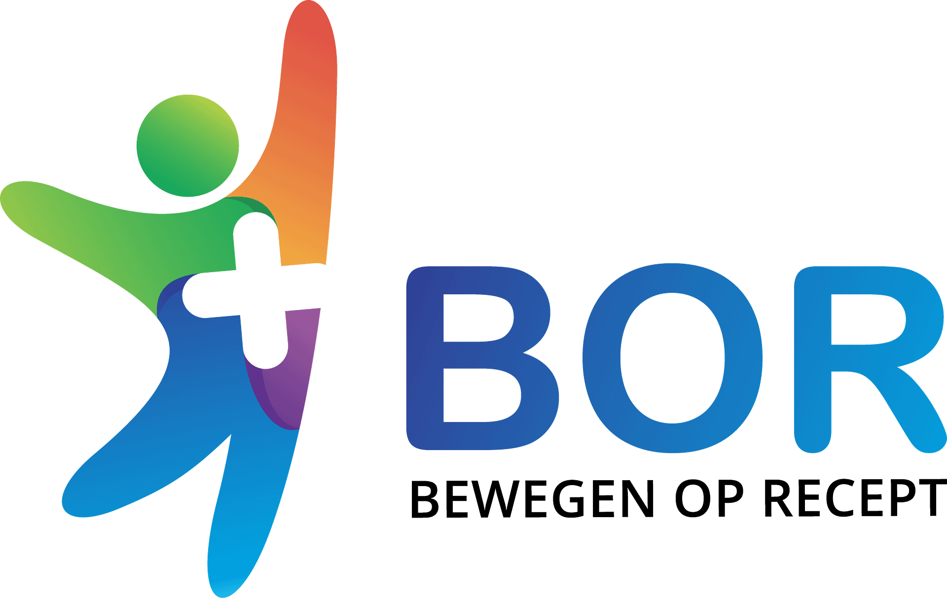 Logo BOR RGB 2023